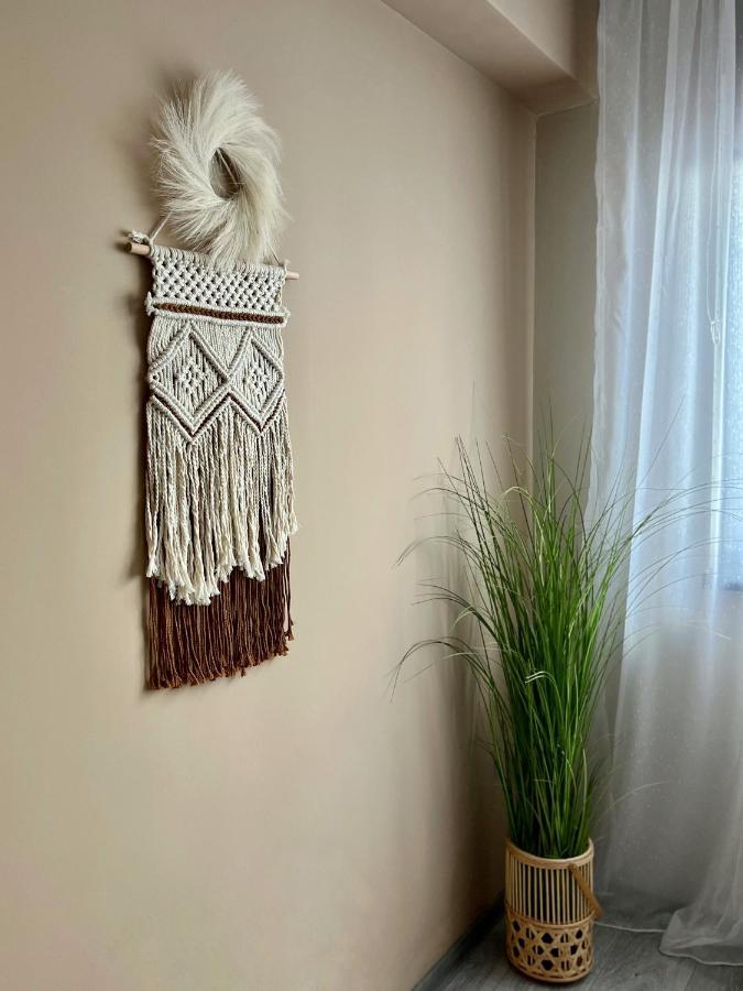 Boholand Apartment 브라쇼브 외부 사진